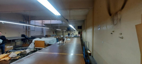 Imagen 21 de 24 de Riglos Al 600 550 M2