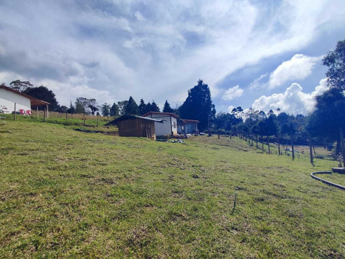 Imagen 7 de 20 de Casa Vereda Piedras Blancas - Guarne