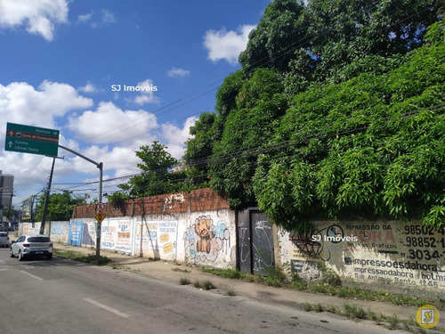 Imagem 1 de 3 de Terreno Para Locação - 52047