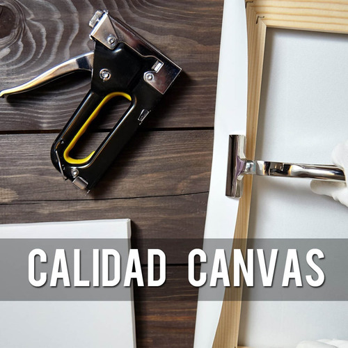 Cuadros Personalizados Con Tu Foto Triptico 100x50 Tela