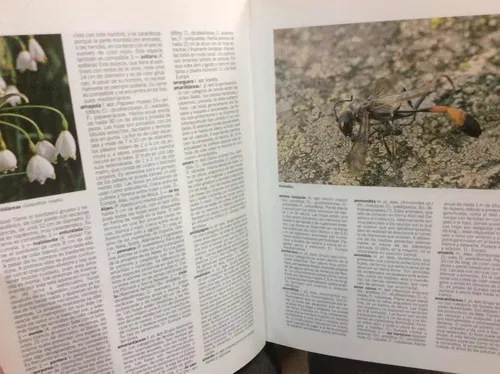 Enciclopedia Ilustrada - Diccionario - Botánica - Zoología (Usado)