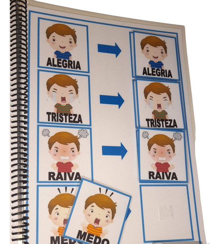 Material Pedagógico Plastificado- Caderno De Pareamentos.