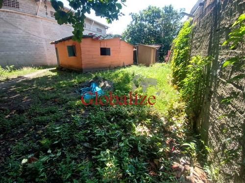 Imagem 10 de 16 de Terreno - Te00005 - 70482597