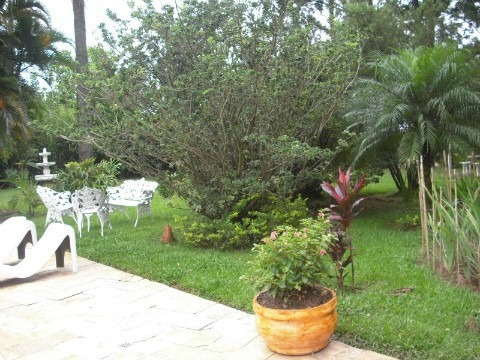 Rural - Venda - Santa Gertrudes - Cod. 81 - V81