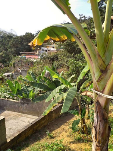 Casa En Venta En Carayaca