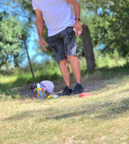 Imagen 5 de 9 de Hermoosa Chihuahua Hembrita Chuy Pinscher No