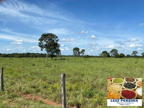 Imagem 1 de 13 de Fazenda A Venda Em Divinópolis - To - De 538 Alqueirões (dupla Aptidão) - 1667