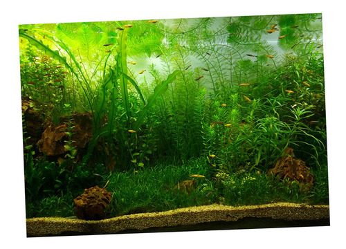 Atractivo Imagen 3d Acuario Waterweeds Fondo Cartel 61x30cm