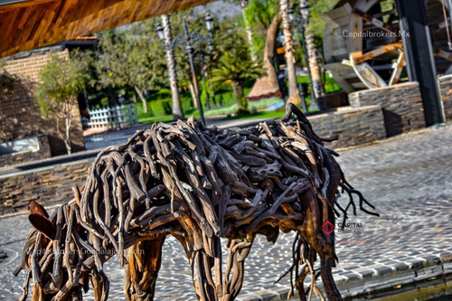 Rancho De Lujo Con Picadero Y Salon De Eventos En El Sur De Zm Guadalajara