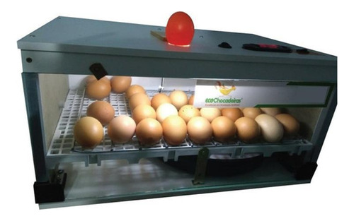 Chocadeira Automática De 50 Ovos
