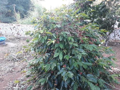 Chácara Em Baependi Sul De Minas Com 20.000 M2, Casa Muito Boa Estilo Colonial , Paiol, Quarto De Materiais, Garagem Coberta . - 255