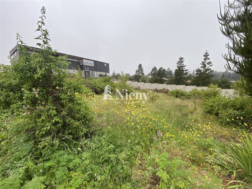 Venta Terreno Construcción Viña Del Mar Los Pinos