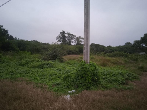 Terreno Venta 1358m² Carr Tuxpan Tamiahua En Tuxpan Veracruz