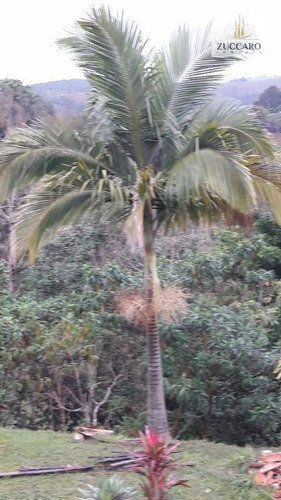 Chácara Rural À Venda, Canto Das Águas, Igaratá. - Ch0043