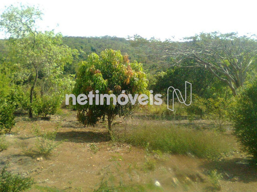 Imagem 15 de 29 de Venda Chácara Zona Rural Conceição Do Pará - 875793