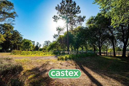 Imagen 19 de 21 de Lote En Venta En Azzurra Tortugas. Consultar Financiacion