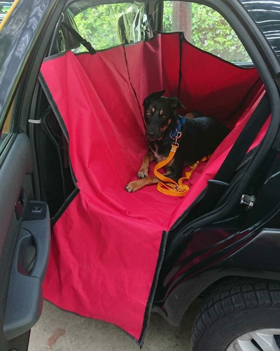 Traslado Costa Atlántica Mascota Viaje Puerta Transfer Remis