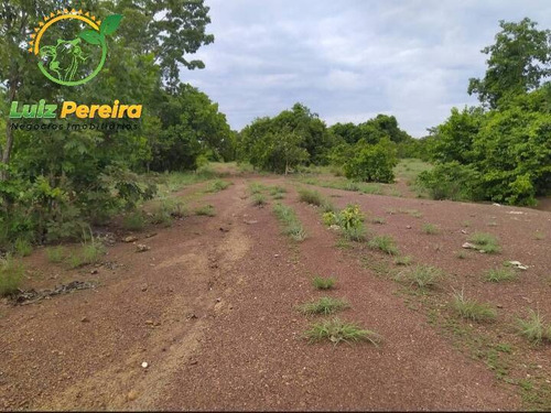 Imagem 12 de 15 de Fazenda À Venda Em Fátima - To - De 62 Alqueirões (dupla Aptidão) - 1786