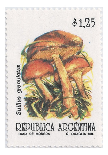 Argentina - Serie Básica Hongos - Año 1992 - Gj 2600