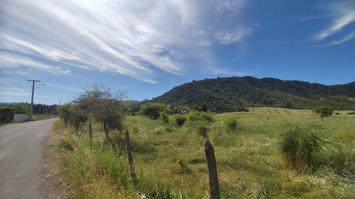 Parcela Plana 5.000 Mt2 Hermosa Vista, Los Maitenes Sta.cruz