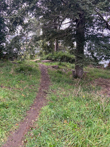 Cabaña En Arriendo De 1 Dorm. Con Vista Al Lago Llanquihue