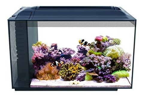 Fluval Sea Evo Saltwater Fish Tank Aquarium Kit