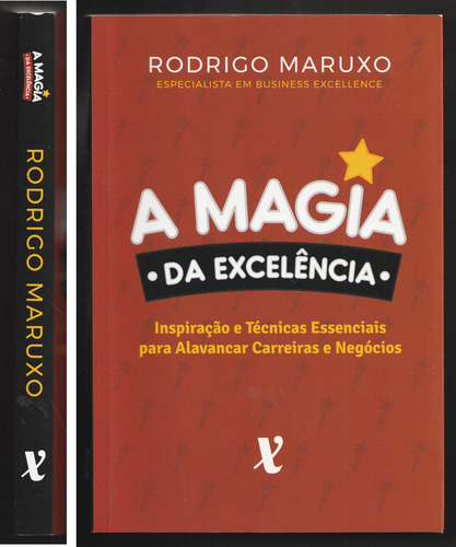 A Magia Da Excelência - Inspiração E Técnicas Essenciais Para Alavancar Carreiras E Negócios (Usado)