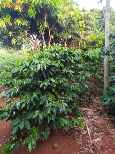Imagem 15 de 22 de Chácaras_sítios_fazendas Para Venda - 13650.8059