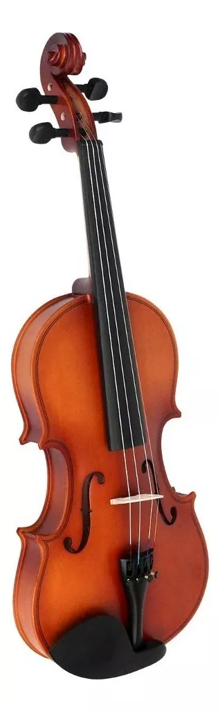 Primera imagen para búsqueda de violin profesional