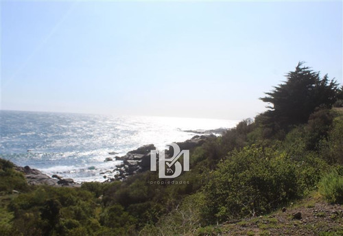Imagen 3 de 7 de Sitio En Venta En Zapallar