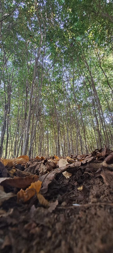Tu Refugio Soñado A 35 Km De Temuco