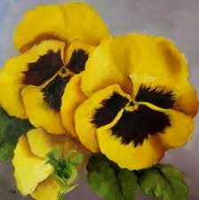 Pensamiento Amarillo 30 Semillas Media Sombra O Sol Sdqro2