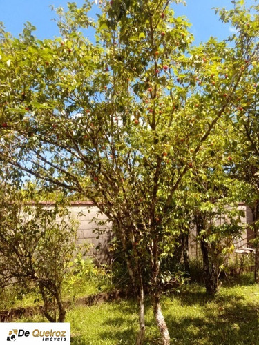 Imagem 15 de 30 de Chácara Em Itanhaém, Bairro Aguapeu, Isolada, Lado Morro, Usada, 2 Dormitórios , Sala, Varanda, Área De Serviço Coberta, Arvores Frutíferas. - 4040 - 67615658
