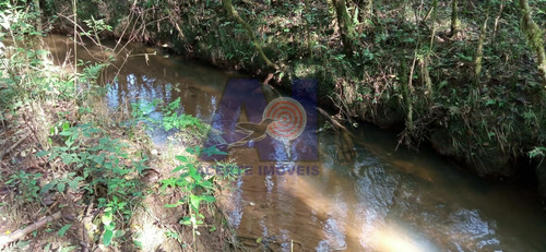 Imagem 6 de 17 de Chácara À Venda No Bairro Centro - Campo Alegre/sc - 105