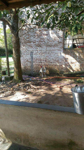 Imagem 13 de 14 de Fazenda Com 2 Dorms, Cézar De Souza, Mogi Das Cruzes - R$ 2 Mi, Cod: 722 - V722