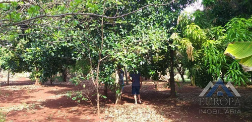 Chácara Com 2 Dormitórios À Venda, 3000 M² Por R$ 300.000,00 - Gaspareto - Alvorada Do Sul/pr - Ch0111