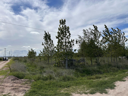 Terrenos En Venta Domselaar