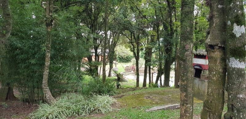 Imagem 11 de 14 de Terreno - Sao Ciro - Ref: 7612 - V-7612