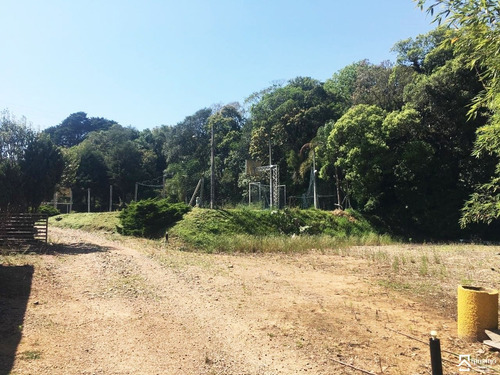 Imagem 2 de 14 de Chacara - Colonia Murici - Ref: 8415 - L-8415