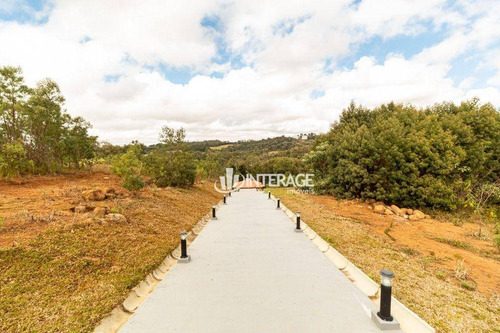 Imagem 17 de 30 de Terreno À Venda, 2179 M² Por R$ 833.250,00 - Santa Felicidade - Curitiba/pr - Te0117
