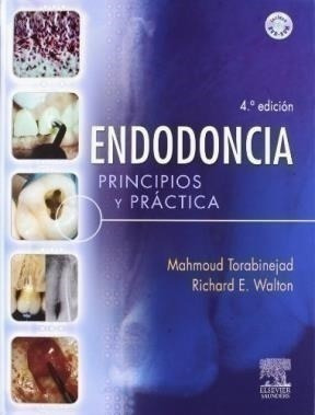 Endodoncia. Principios Y Practica - Torabinejad, Mah