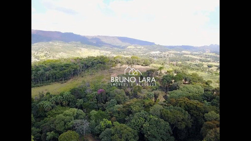 Imagem 5 de 30 de Sítio À Venda Em Igarapé Bairro Jardim Vila Rica - Si0095