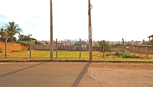 Imagem 3 de 6 de Terreno Á Venda E Para Aluguel Em Jardim Das Paineiras - Te005104