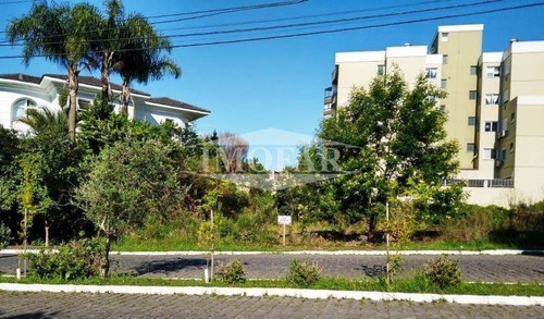 Imagem 1 de 5 de Terreno - Centro - Ref: 8140 - V-8140
