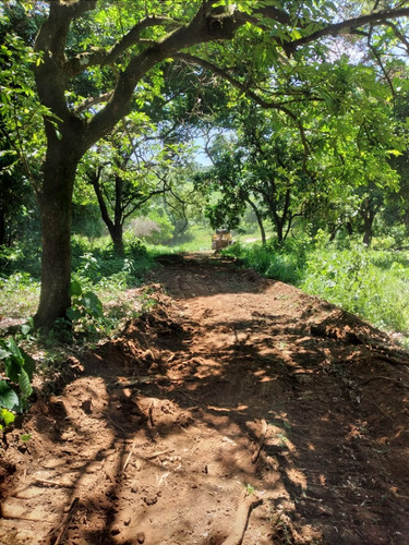 Sitio A Venda Em Monte Santo De Minas