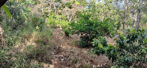 Lote Na Corumba4 5000 Mts Com Casa 3 Quartos 2 Banheiros Sal