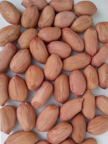 Maní Crudo Con Piel 5kg - Runner 38/42 - Grano Seleccionado
