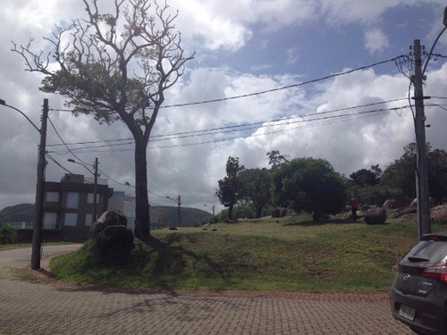 Terreno Em Hípica - Lu430537