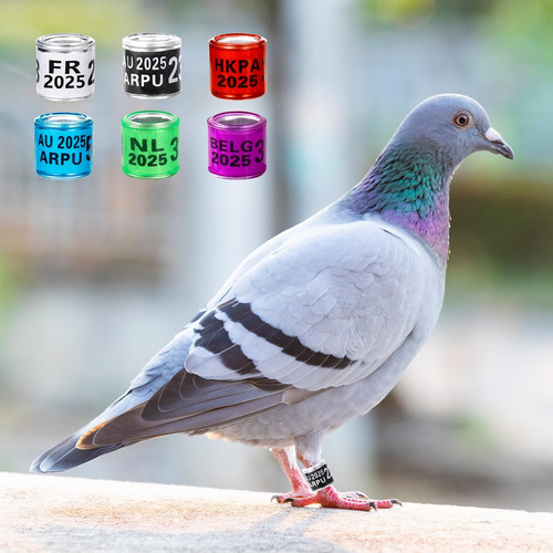 Anillas De Aluminio Para Palomas, Multicolor, 100 Unidades.