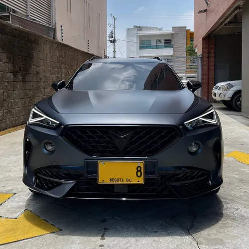 Cupra formentor 2.0 Tsi Mate Dsg